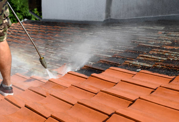 Best Pressure Washing Driveway  in Holden Heights, FL